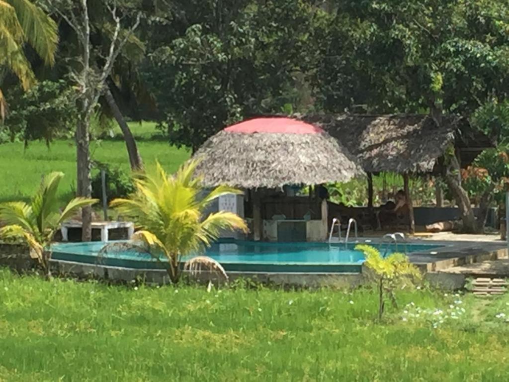 Nelu Resort Sigiriya Luaran gambar