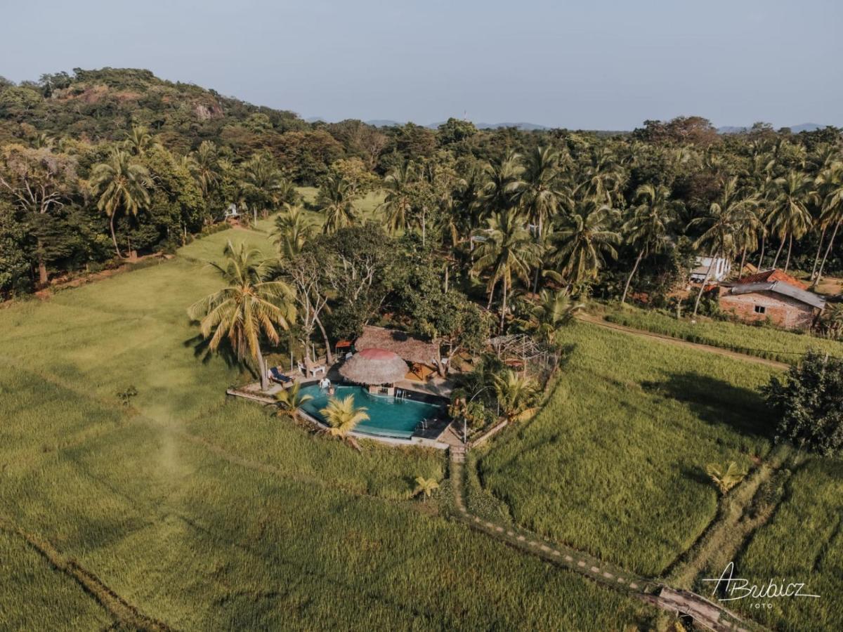 Nelu Resort Sigiriya Luaran gambar